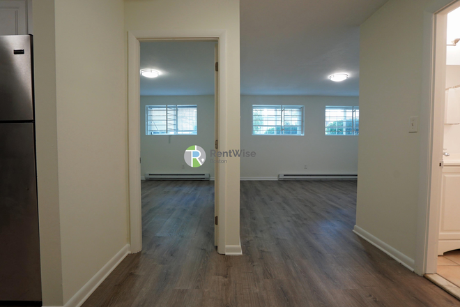 1 - JULY 2026-Gorgeous Brighton 1 bed. Updated. Cat ok! No Broker Fee! Apartments