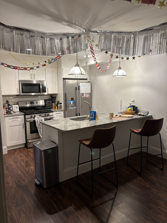 Kitchen - SUBLET/LEASE TAKEOVER - Spring or Summer term sublet in 4B2B apartment ONLY 10 MIN walk from NEU