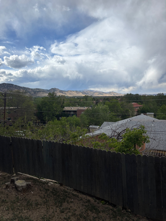 View from backyard - Basement Apartment super close to campus