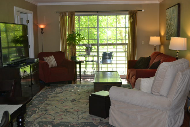 Living room (different renter) - 3 Bdrm. Heat Included! Washer/Dryer/DW. > Available 8/1 (or sooner!) Apartments