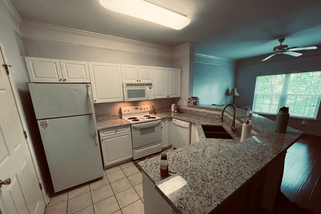 Kitchen - Ideal for Students – Safe, Convenient 1BR/1BATH Condo