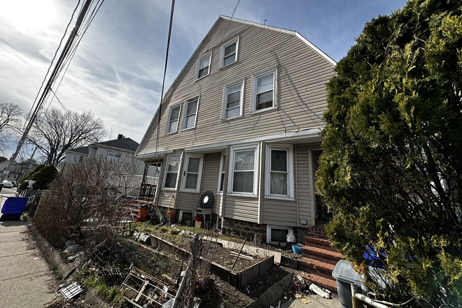 1 - LOWER ALLSTON SINGLE FAMILY FULL BASEMENT 6 bed house for rent 9/1/26 NO BROKER FEE!