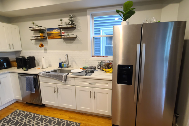 Kitchen and Fridge - Luxury & Huge 4 bed split/5 bedroom apartment $4,900 move in for Sept 1, 2024!  Near UMass Boston!