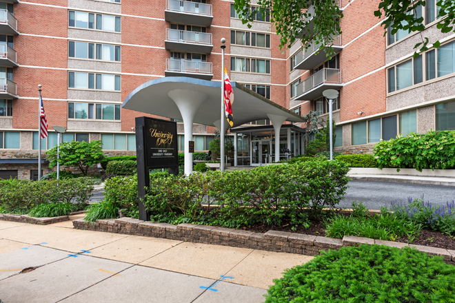 Outside Street View - Walking Distance to JHU Homewood (Up to 4 Occupants)