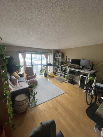 Living room- furnished (sublet will be unfurnished- this image is included for demonstration purposes only) - Sun-drenched Allston 1-bedroom for $2600/month!