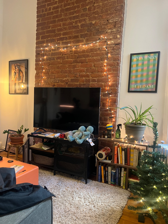 Living room - (more photos to come) - June 5-30 Sublet Apartments