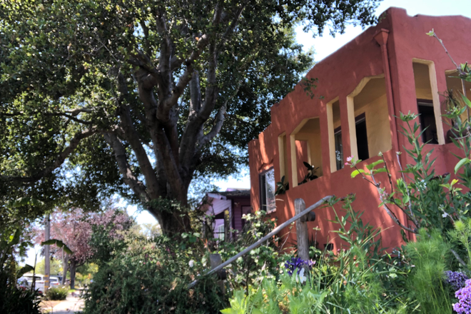 front yard - A Gardener's Paradise