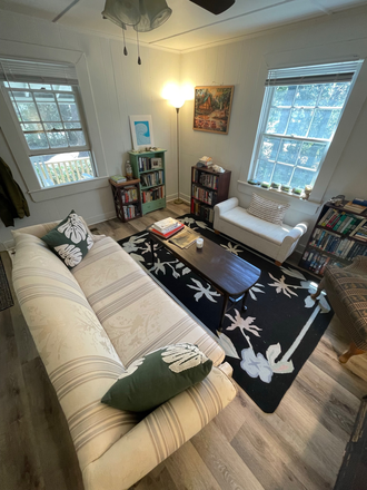 Living room (again!) - The Birdhouse - Short walk to Campus