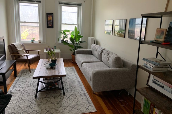 Living room - Nice room in mint 3BR condo(avail Mar 1), short walk to Harvard Med/Longwood Medical, Brookline Ave