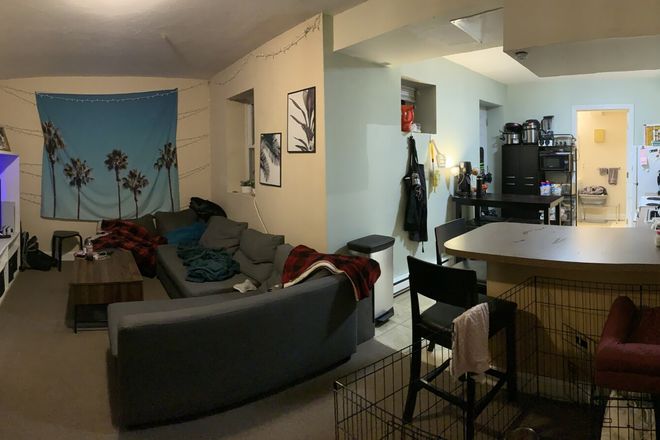 Visit hubrealtyproperties.com - Large one bedroom, basement level, on the T in Mission Hill