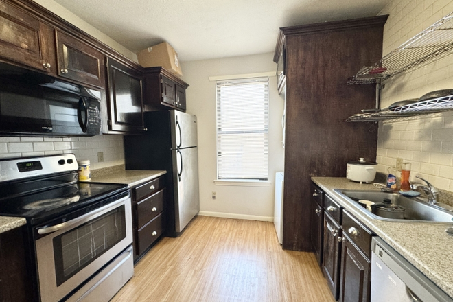 x - Renovated 4 Bed | In-Unit Laundry | 9/1 Apartments