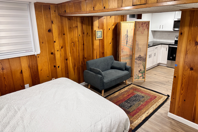 Living Room - Private English Basement Studio Near UMD | Private Entrance | Utilities Included House