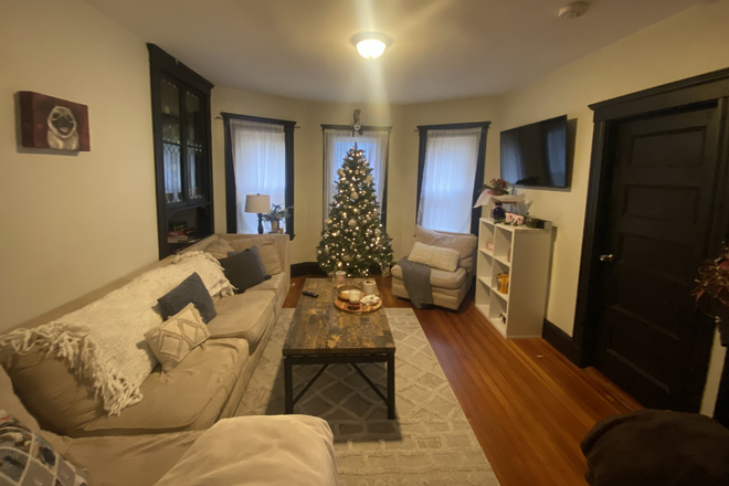Living Room - Updated 4 bed 2 bath near JFK/UMass Station Apartments
