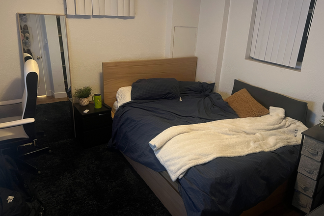 Downstairs Bedroom - Single Rooms in Shared House. 5 min walk to Hill and Campus. Beautiful and Spacious.