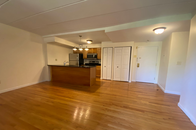 1 - RENOVATED 3 bed 2 bathroom at Douglass Park, central air, in unit laundry Apartments
