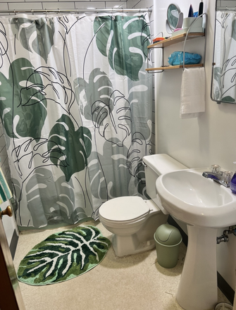 Bathroom (Has tub & Shower) - 1 bed Private apartment, 5 min walk to campus