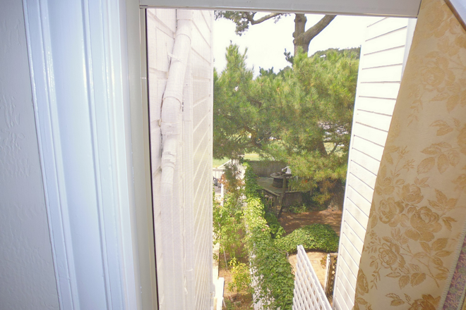 Backyard by soccer field of USF. - Next to USF Campus, Newly Remodeled, Beautiful Inside & Outside White House 2#2$1,495Included All