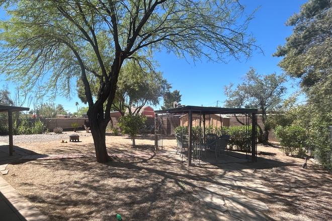 Backyard - Rita House