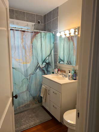 Bathroom - 2 bedroom in classic 2-family on quiet, tree-lined street Duplex