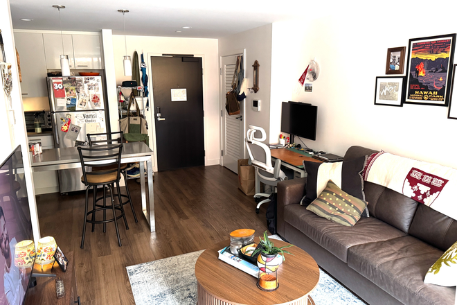 Living Room - Summer Sublet – Furnished 1BD/1BA in Soldiers Field Park (Cozy & Great Location) Apartments