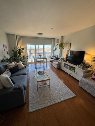 Living Room - 2BR apt-Spring Street-Princeton