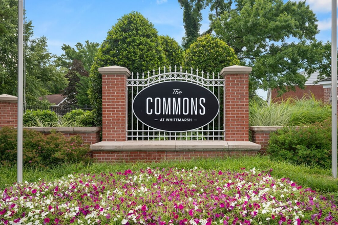 Commons at Whitemarsh - Commons at Whitemarsh Apartments