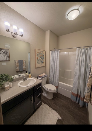 Bathroom - The Brooks Apartments