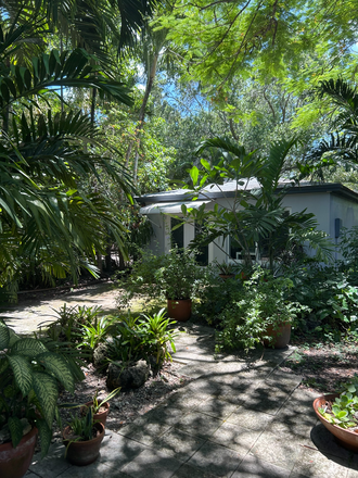 Tucked away in your own quiet green world - NOW AVAILABLE - Furnished studio - Private access - Beautiful greenery - UM students/faculty only Apartments