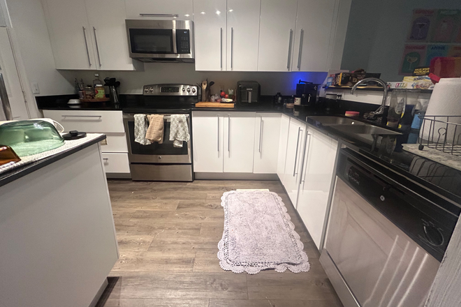 Kitchen - The Harrison 4 bedroom (2 bedrooms available, separate leases) Apartments