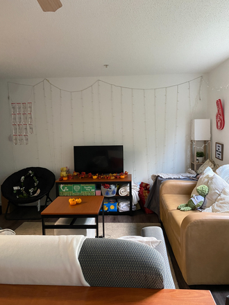 Living room - The Courtyards at UMD Spring Sublet Apartments