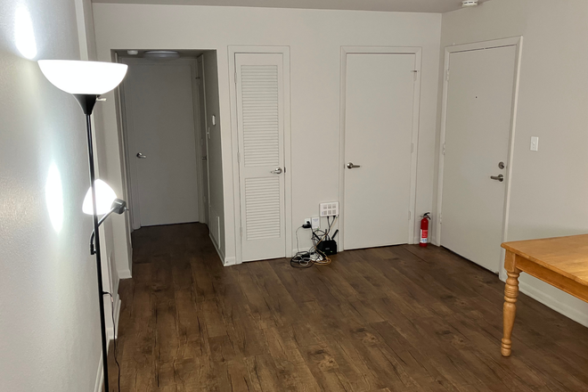 Living room, facing bedroom door (left) and living room closet door (right) - Spring 2026 Lease Takeover - University Crossing 1br/1ba, close to Payless and 42 bus Apartments