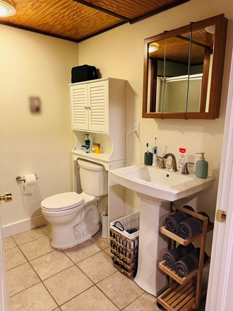 bath - Lower  level apartment in renovated charming, brick rowhouse, private entrance