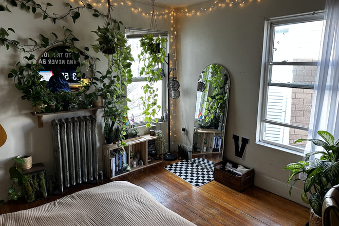 1 - NO FEE ALLSTON 6 BED SINGLE FAMILY HOUSE FOR RENT 9/1 FULL PRIVATE BASEMENT!