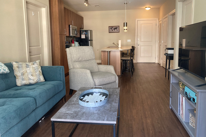Living Room - 2bed/2bath apartment close to campus