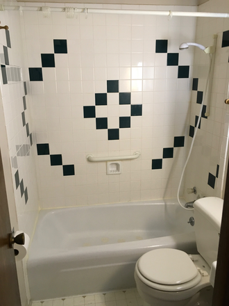 Bathroom - Nice quiet close in Study Apartment for Grad Student in residential area a few blocks from campus.