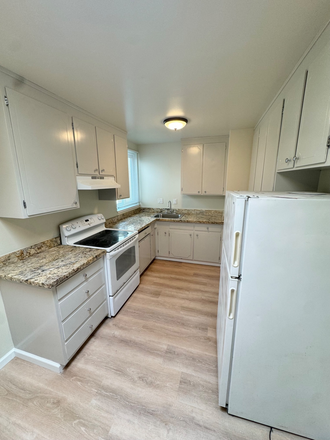 kitchen - Apartment 1 block from Koret Center USF campus