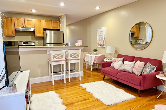 1 - Walk to Student Village BU-Brookline Off-Campus 3 bedroom Condo for rent 9/1/26