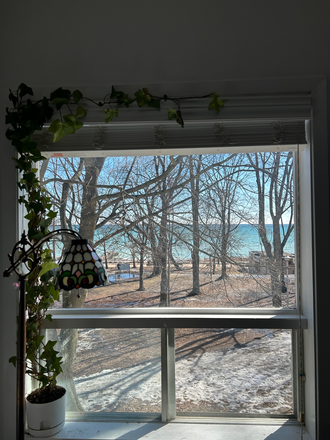 View from the living room window - Furnished 2BR Lakefront Sublet – The Beaches – $3500 All Inclusive – Available April 1