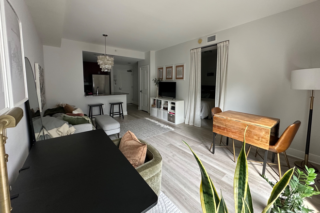 Living Room - Quiet, Corner Apartment in Prime NW DC Tenleytown Location