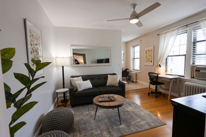 Living Room - STARS Chestnut Hill 370 Furnished Apartment