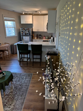 Kitchen and Living Room - 4240 39th Street NW - AU / Tenleytown - Large 1 Bedroom Apartment