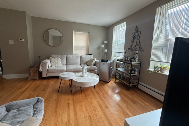 Living area - Beautiful 1-bedroom apartment super close to NEU campus, ALL UTILITIES INCLUDED