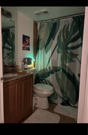 Bathroom - Downtown  bedroom Condo