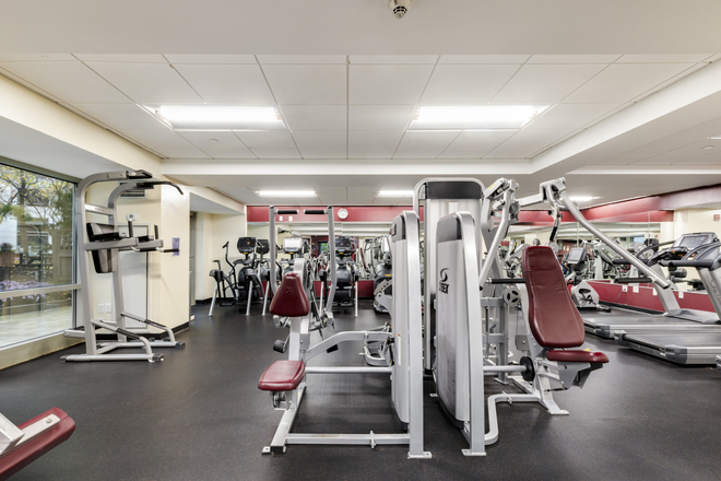 Gym inside the building - Private room/bathroom in 2BR/2BA in Fenway apt, quick walk to medical/college campuses, green line