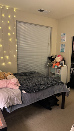 Bedroom - Private Bedroom/Bathroom in a 3x3 at The Varsity Apartments