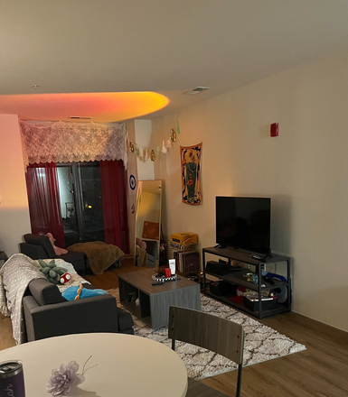 Living Room - Terrapin Row 4x2 Townhouse - Sublease Spring and/or Summer 2026