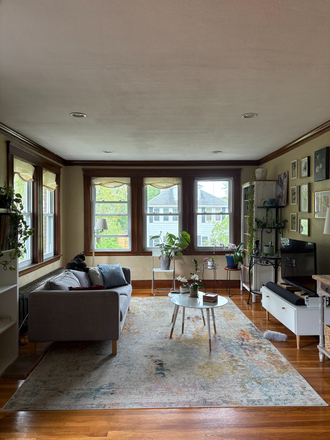 Living room - Bright, spacious and quiet apartment in Brighton