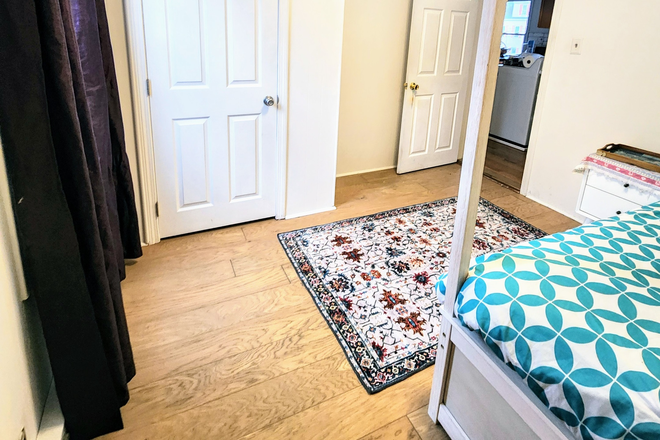 Closet - 1 BR in Sunny, Large, Safe 4 Bedroom (near North Campus) with Parking, W/D in Unit Triplex