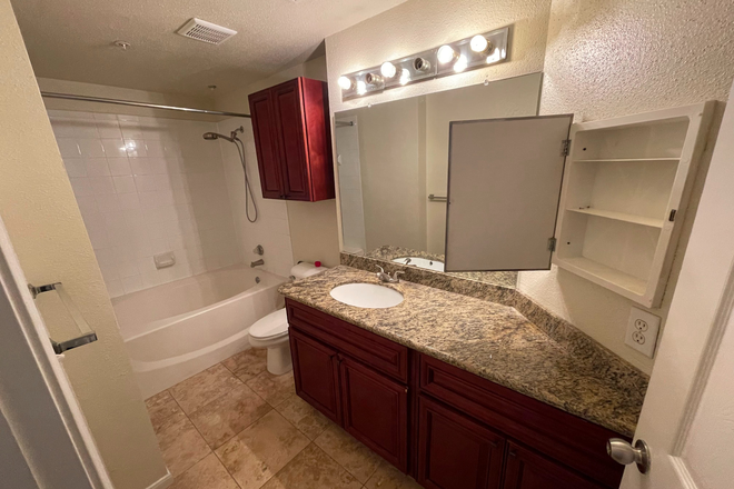 Private bathroom - Condo near Rice University, TMC