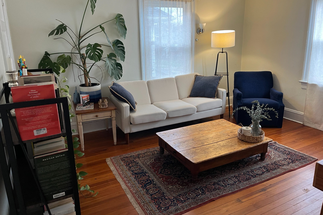 Living room - 1BR in shared 2BR apt for female only-Wiggins St-Princeton